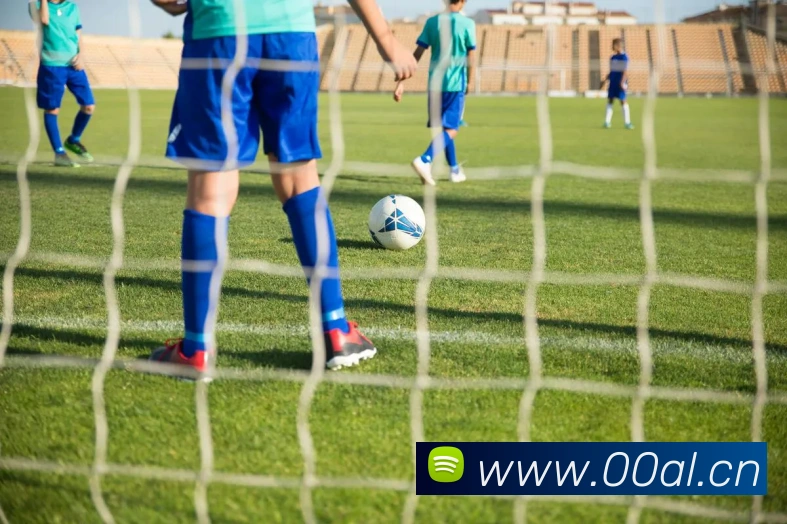 星空app官方登录入口网址平台生态图